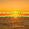 «Чем мир живой природы привлекателен для писателя»